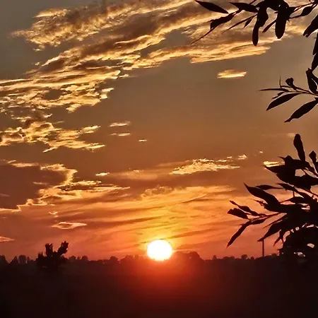 Tiny Haus Boddenblick Holiday home *