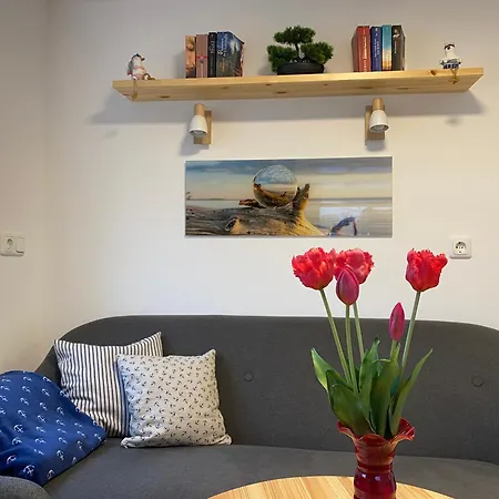 Tiny Haus Boddenblick Tatil Evi Gross Kordshagen