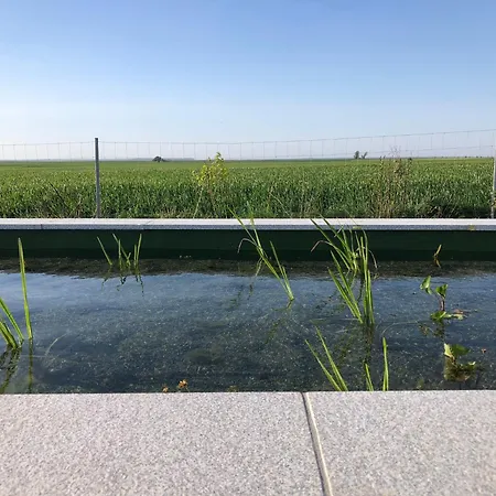 Holiday home Tiny Haus Boddenblick *