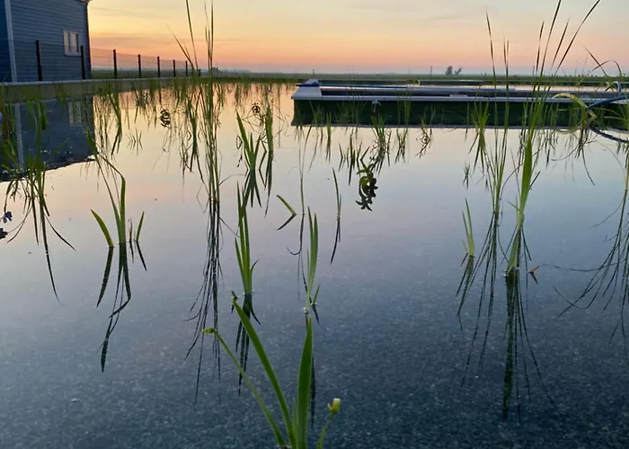 別荘 Tiny Haus Boddenblick *