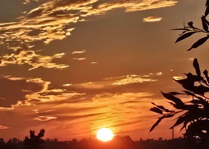 Tiny Haus Boddenblick 別荘 *