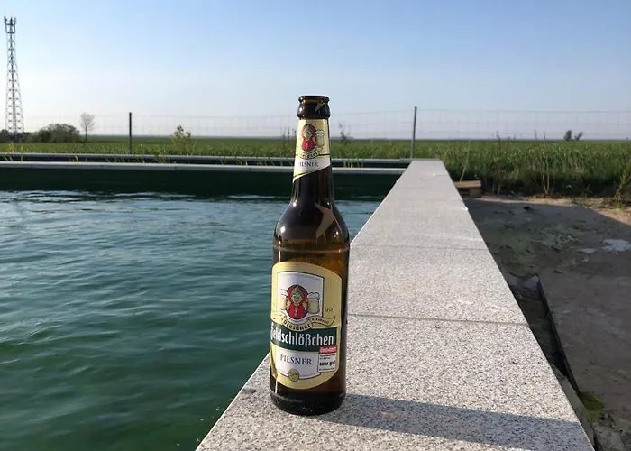 Tiny Haus Boddenblick * Groß Kordshagen