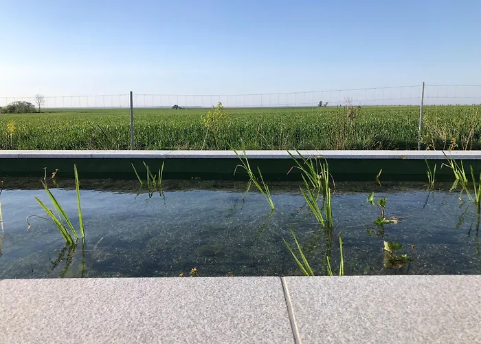 別荘 Tiny Haus Boddenblick *