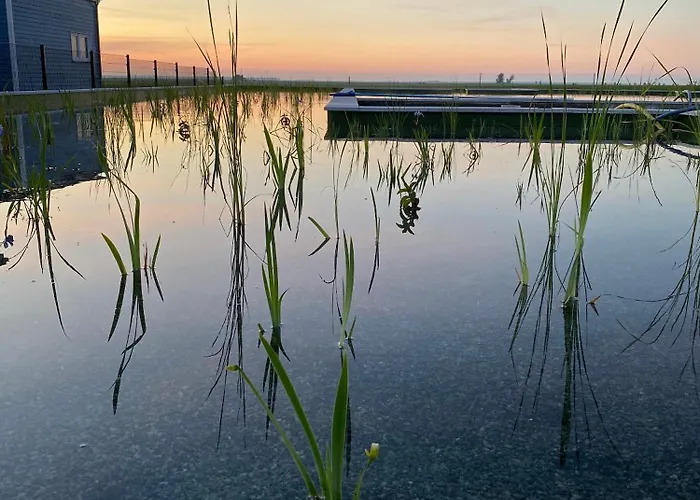 別荘 Tiny Haus Boddenblick *